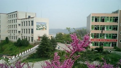 重庆永川职业教育中心 信息技术服务类专业设置详解